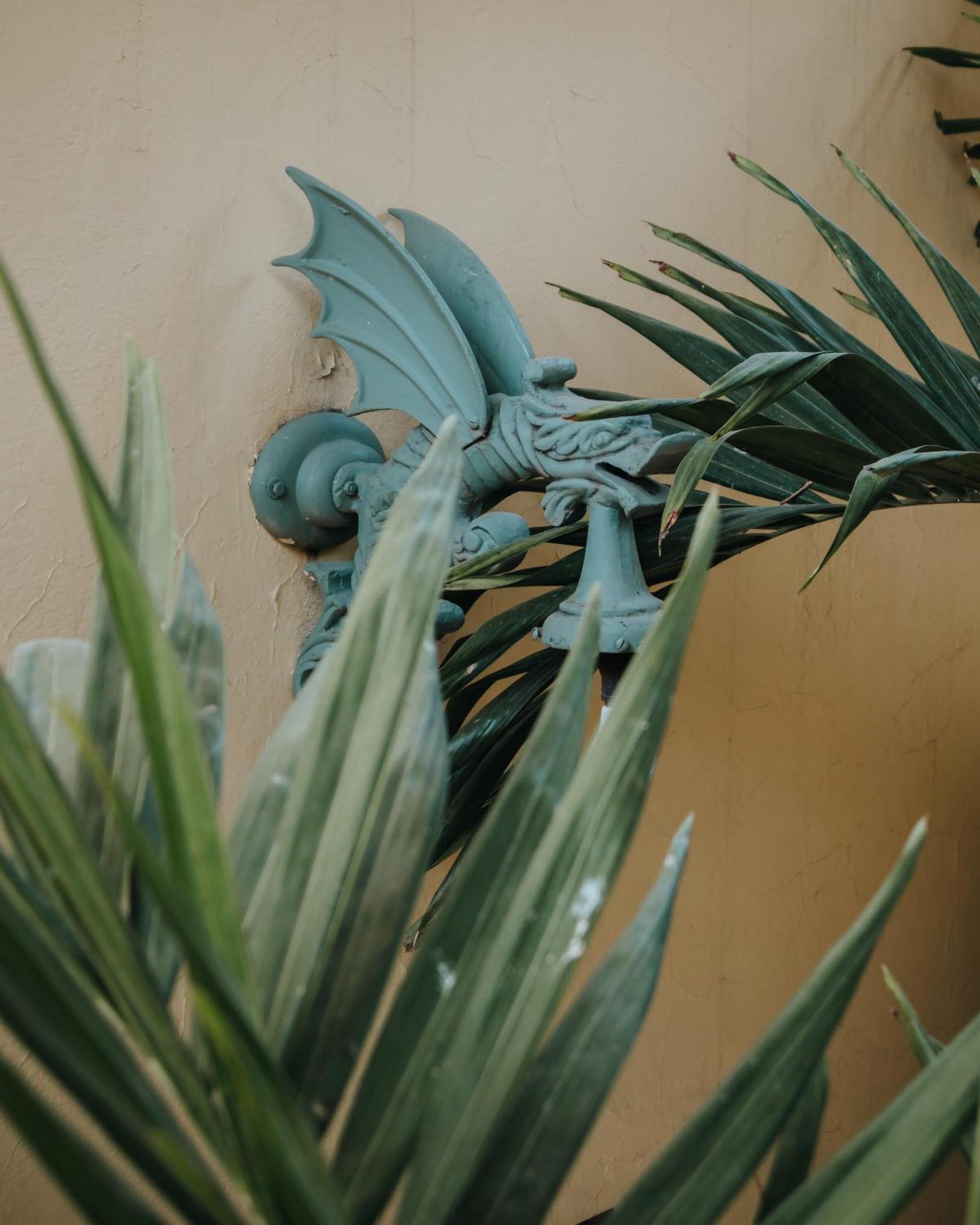 サン・ミゲル・デ・アジェンデ Casa Florida Bed & Breakfast エクステリア 写真